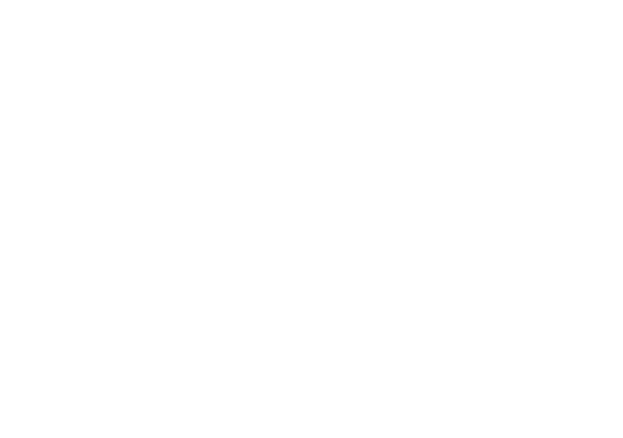 Ninja World Online